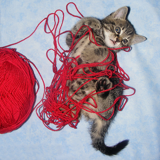 Illustration for article titled I Never Learn (alt. title: who is crafting for xmas?)